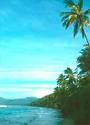 Palmen, feinsandiger Strand und ausgewählte Hotels prägen das Bild im Süden von Bali