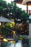 Hotel Sandi Phala Bali © The Sandi Phala Beach Resort and Ma Joly Restaurant